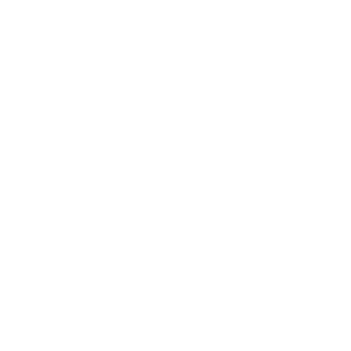 SkyDronic